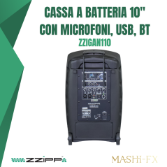 Cassa amplificata a batteria da 10" con Microfoni