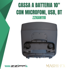 Cassa amplificata a batteria da 10" con Microfoni