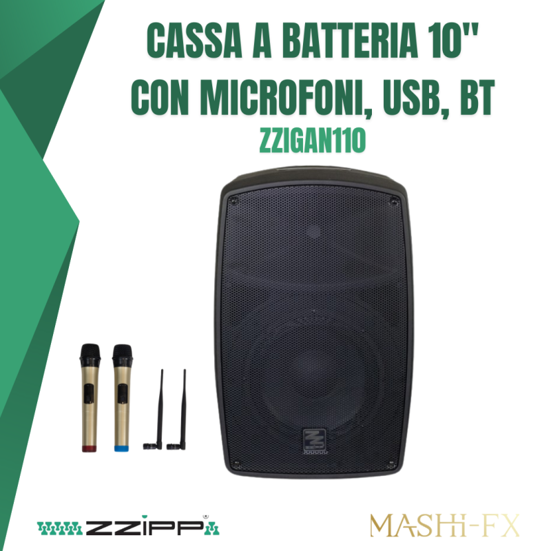 Cassa amplificata a batteria da 10" con Microfoni