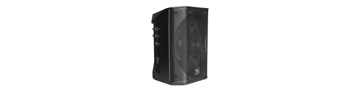 Casse Attive a Batteria. Comode Potenti e Portatili. Dj, Karaoke, Party, Musica,  Eventi